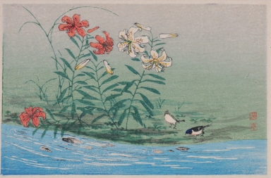 Flowers, Water and Birds