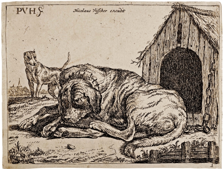 A Dog Chained and Resting