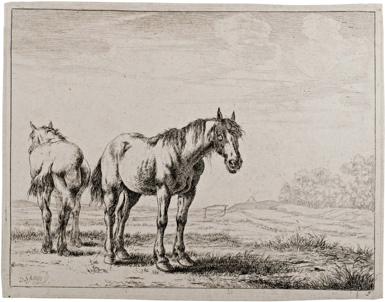 Study of Two Horses
