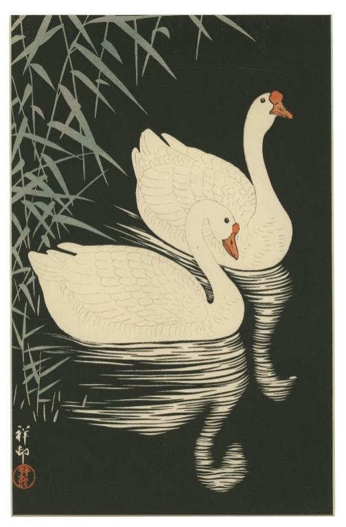 Two Floating Ducks